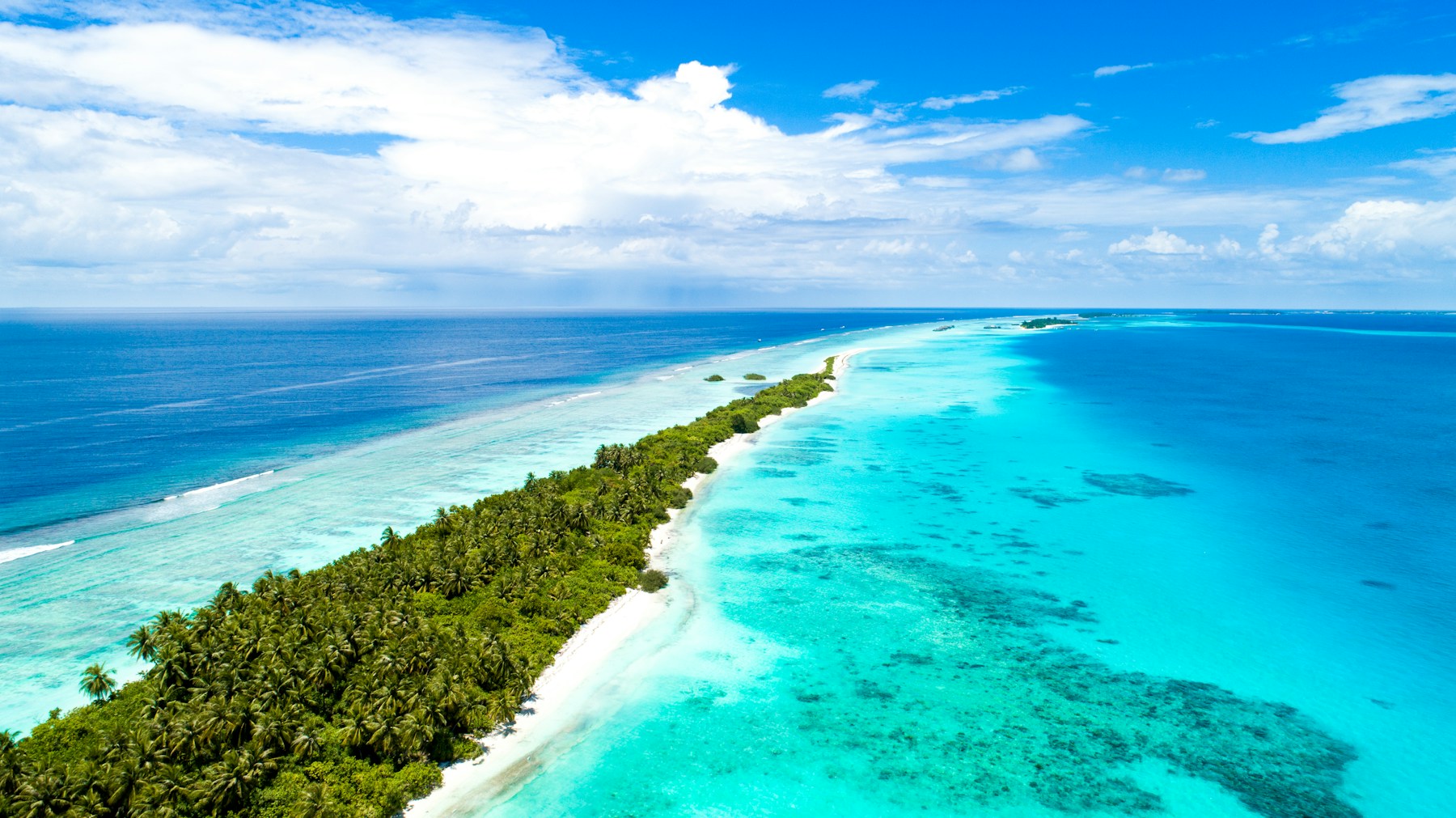 A palm-covered island surrounded by turquoise water in the Maldives