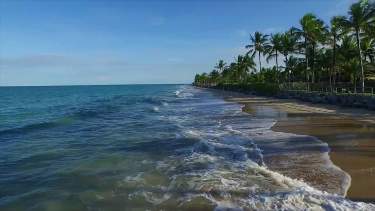 Waves rolling onto a palm-lined beach